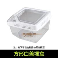 小号饲养箱塑料透明蝎子守宫蜥蜴养殖箱陆龟昆虫鸣虫饲养盒_1_223 默认尺寸 方形白盖裸盒