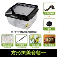 小号饲养箱塑料透明蝎子守宫蜥蜴养殖箱陆龟昆虫鸣虫饲养盒_1_223 默认尺寸 方形黑盖套餐一