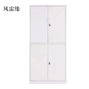 风雷缘钢制资料柜档案柜财务凭证柜带锁储物柜铁皮柜书柜通双节文件柜(标准款)