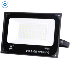 世纪亚明(揽月系列)泛光灯 ZY609 个