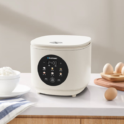 BLAUPUNKT德国蓝宝电饭煲家用4L2-6人多功能电煮锅 智能预约煮粥煮饭煲汤BP-WDND10 白色 4L 大容量