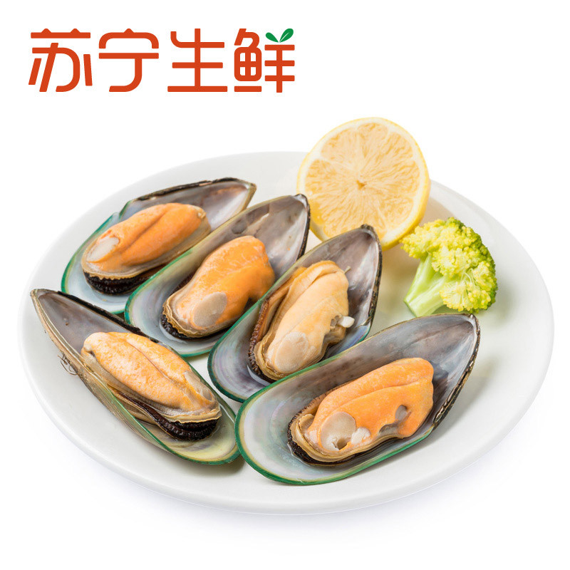 【苏宁生鲜】 兰维乐新西兰青口贝1kg 扇贝 海鲜水产