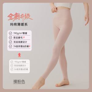学生纯棉秋裤女内穿薄款春秋保暖裤高腰女士新款修身工厂
