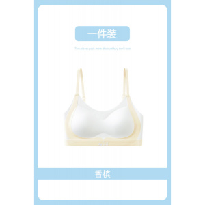 文胸背心运动防震发育期初高中学生固定杯二三阶段少女文胸内衣