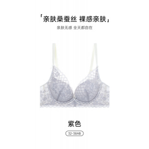 无痕三角杯蚕丝内衣女聚拢小胸防下垂收副乳性感无钢圈透气文胸罩