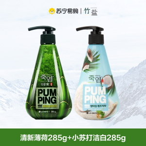 竹盐派缤按压式牙膏285g*2瓶清新口气按压式牙膏成人减轻牙渍清洁口腔清新薄荷大容量