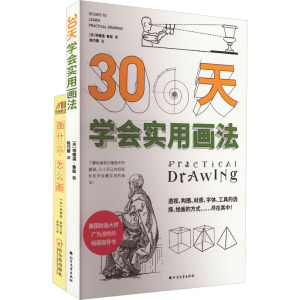 画什么,怎么画+三十天学会实用画法(全2册) (美)埃德温·鲁兹 著 陈巧蓉 等 译 艺术 文轩网