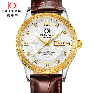 嘉年华CARNIVAL手表新款男士全自动机械表 男表时尚满天星镶水钻防水夜光精钢带腕表双日历星期显示休闲商务复古8629