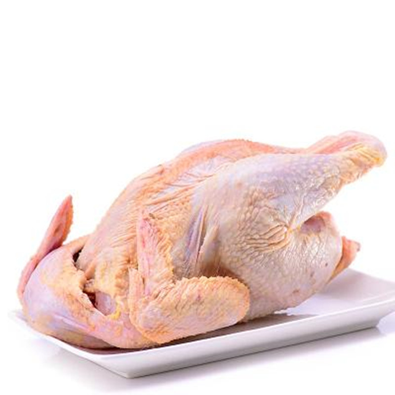 5斤 退毛留内脏 新鲜鸡肉ci