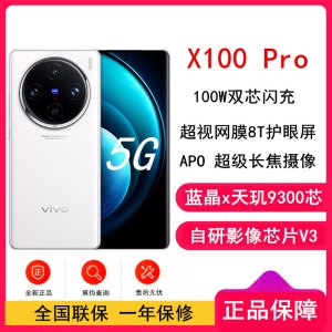 vivo X100 Pro 白月光 16GB+512GB 蓝晶x天玑9300旗舰芯 蔡司影像 LPDDR5X闪存 100W双芯闪充 5G拍照 全新自研影像芯片V3 手机