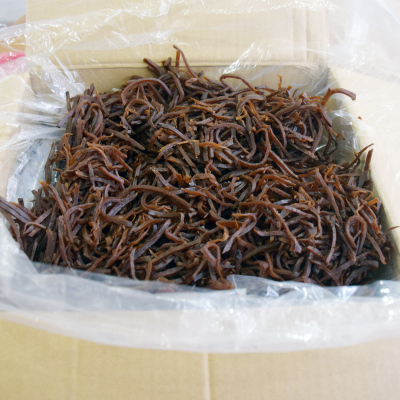 襄阳特产切丝隆中牌大头菜整箱5斤包邮原味襄樊孔明菜酱菜咸菜