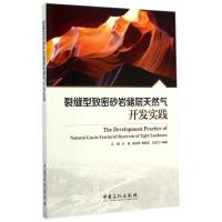 中国石化出版社石油、天然气工业和[圣才电子