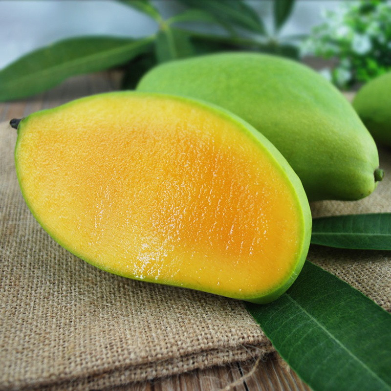 【福山馆】越南进口大青芒 9斤装 6个装【中华特色馆】 吉春热带水果