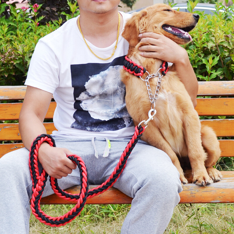 狗狗牵引绳金毛萨摩拉布拉多宠物用品 项圈狗链子套装牵狗绳