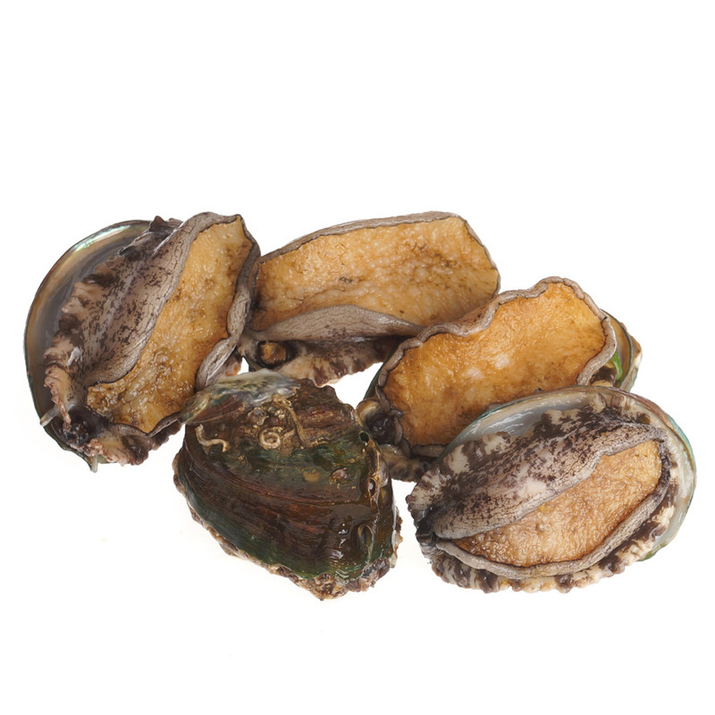 彩盟app(彩乐园app下载安卓彩票) 广州盟彩电子 盟