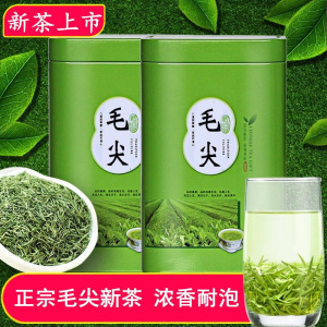 毛尖茶 新茶浓香型雨前春茶叶毛尖绿茶叶新茶125g-500g礼罐装