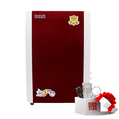 世韩（SAEHAN） 净水器家用直饮净水机家用纯水机厨房自来水过滤器 CW-2000AN 深红色