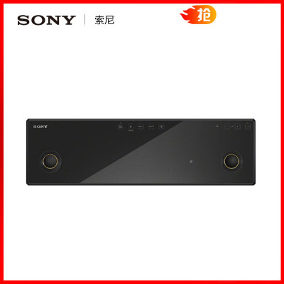 Sony/ SRS-X99߽