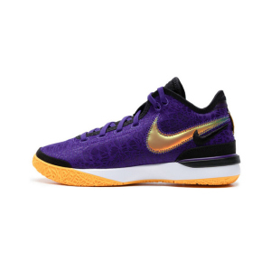 NIKE耐克篮球鞋ZOOM LEBRON NXXT GEN EP男鞋运动鞋DR8788-500 D