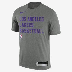 耐克NIKE Los Angeles Lakers 舒适透气简约时尚休闲百搭户外运动T恤短袖男款FJ0209-063