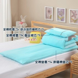美帮汇幼儿园蚕丝被子三件套春夏全棉含芯儿童午睡小床品被褥六件套
