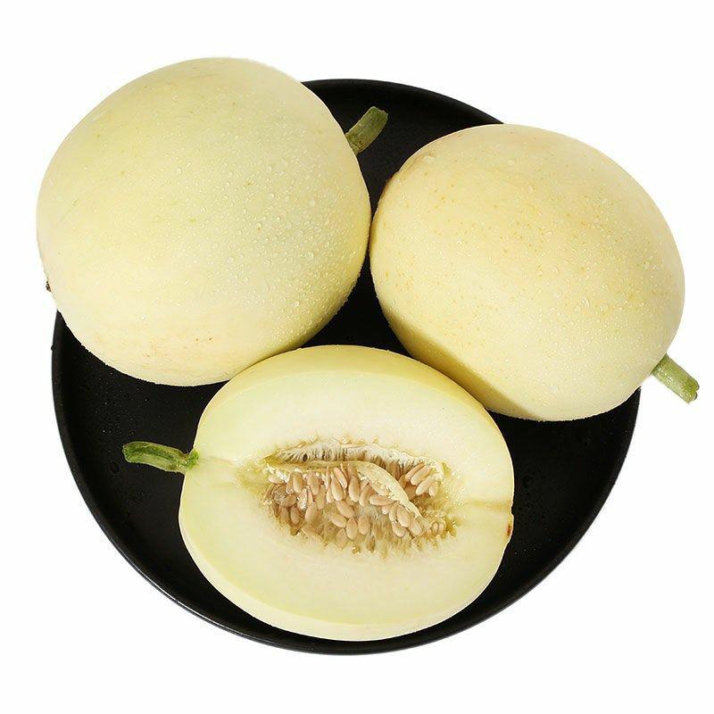 【现摘现发】郁金香甜瓜新鲜当季水果脆白皮蜜瓜白雪香瓜整箱批发应季
