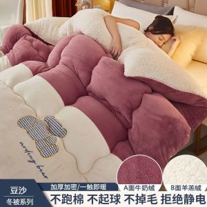 被子冬被加厚保暖单人学生秋冬被芯太空被