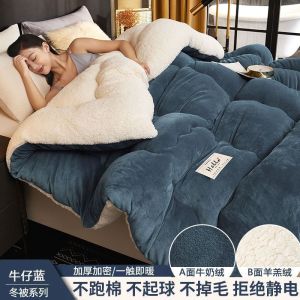 被子冬被加厚保暖单人学生秋冬被芯太空被
