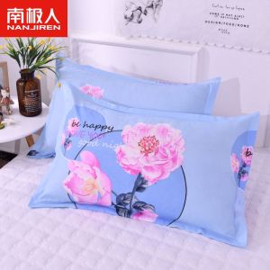 枕套一对装双人枕头套单人枕用学生宿舍48x74枕芯套