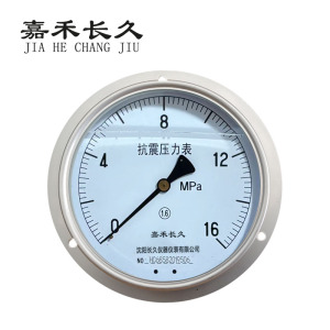 嘉禾长久 耐震压力表轴向带边检测型 YTN150ZT 块