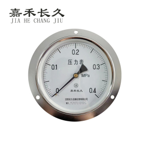 嘉禾长久+轴向带边压力表检测定制型+Y150ZT+块