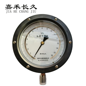 嘉禾长久+耐震抗震精密压力表检测定制型+YBN150 0.25级+块