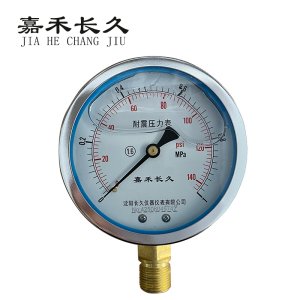 嘉禾长久 耐震压力表检测型 YTN100 块