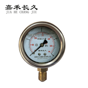 嘉禾长久 耐震压力表检测型 YTN40 块
