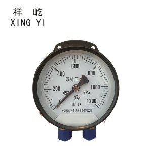 祥屹 双针双管压力表 YCS100-II 24V 台