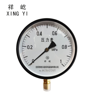 祥屹+压力表检测定制型+Y200+块