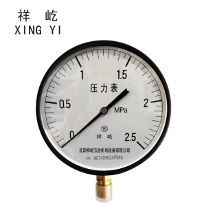 祥屹+压力表检测定制型+Y250+块