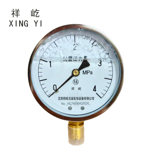 祥屹+耐震压力表检测定制型+YTN100+块