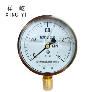 祥屹+耐震压力表检测定制型+YTN100+块