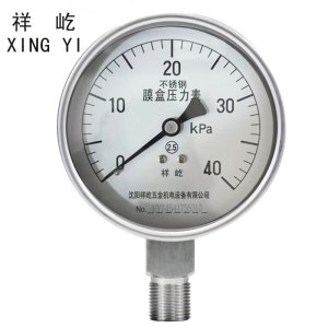 祥屹 不锈钢膜盒压力表检测定制型 YE100BF 块