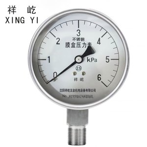 祥屹 不锈钢膜盒压力表检测定制型 YE100BF 块