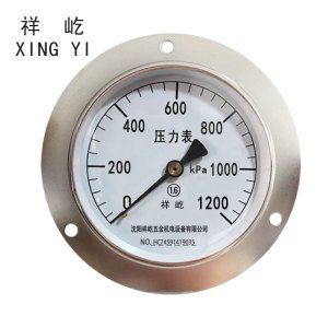 祥屹 压力表轴向带边检测定制型 Y100ZT 块