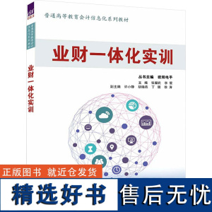 业财一体化实训 张耀武,李星,欧阳电平 编 大学教材大中专 正版图书籍 清华大学出版社