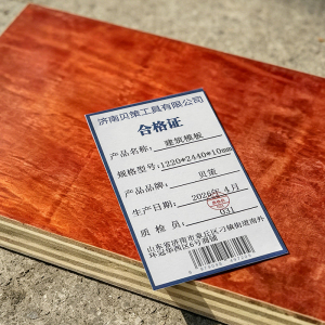 贝策 胶合板 建筑模板 T型绝缘板