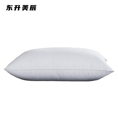 东升美辰 白色枕芯48*78cm DS-RB022 个