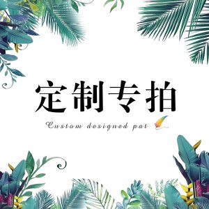 鹰头 美式双色柄钢丝钳 个